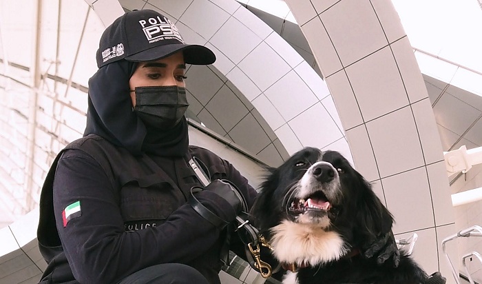 الكشف عن كورونا باستخدام الكلاب البوليسية في الإمارات 2