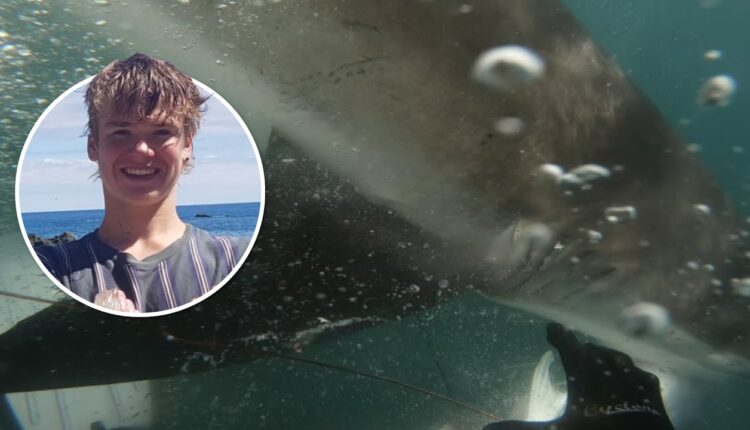 هجوم سمكة قرش كبيرة على شاب