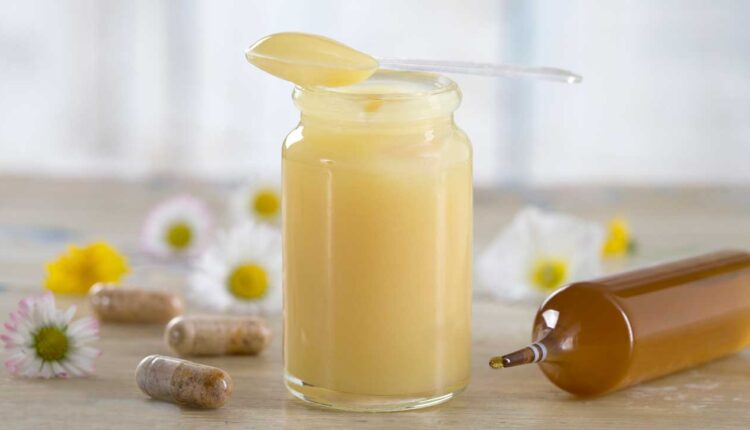 غذاء ملكات النحل