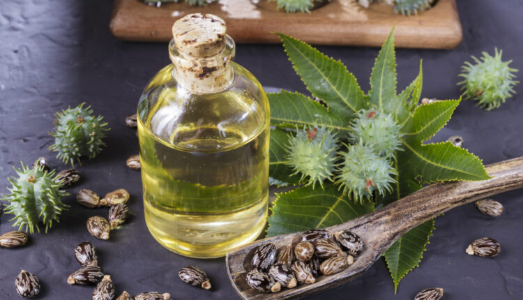 فوائد زيت الخروع