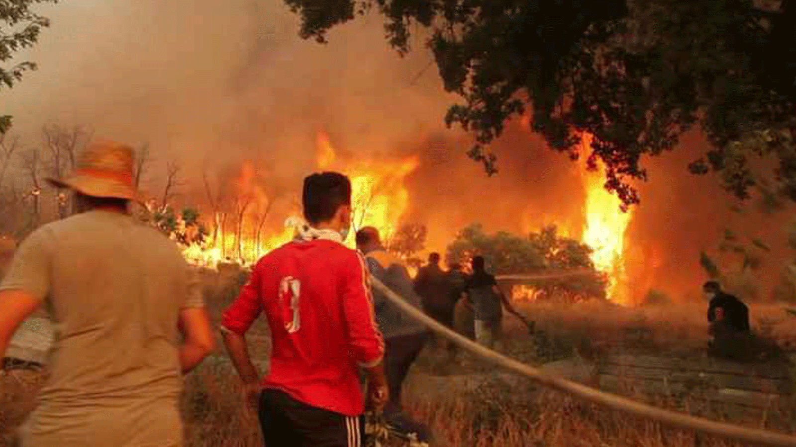 الجزائر تعلن سيطرتها على حرائق الغابات في تيزي وزو