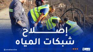فرق «سيال» تباشر إصلاح شبكات المياه المتضررة بالحريق بولاية جيجل