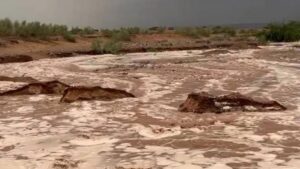 طقس العرب: أمطار غزيرة وعواصف رعدية تضرب المملكة الأحد